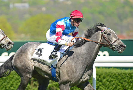 Actualités Hippiques